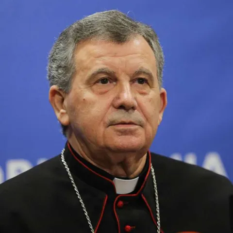 Vrhbosanski nadbiskup Tomo Vuk&scaron;ić