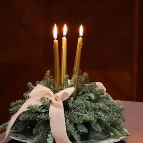 Badnjak (ilustracija)