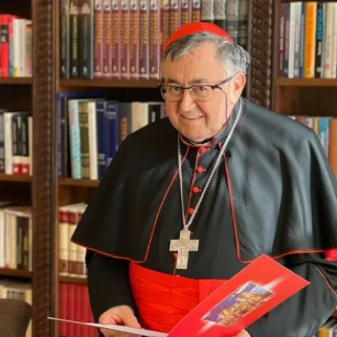 Kardinal Vinko Puljić