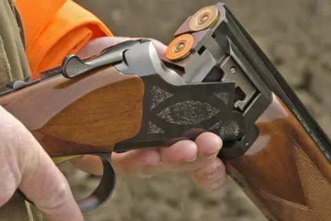 Pucao u vepra pa pogodio drugog lovca u glavu. Dobio uvjetnu kaznu