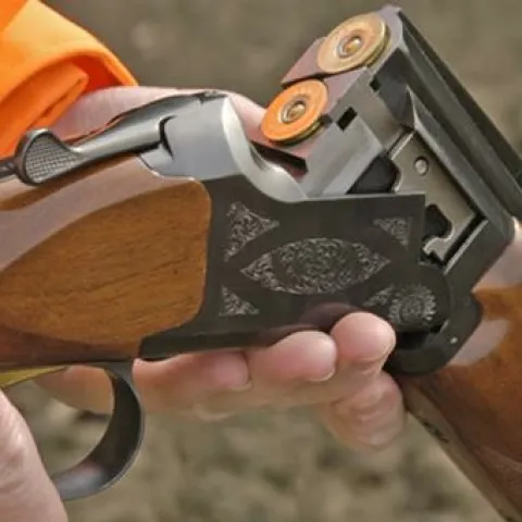 Pucao u vepra pa pogodio drugog lovca u glavu. Dobio uvjetnu kaznu