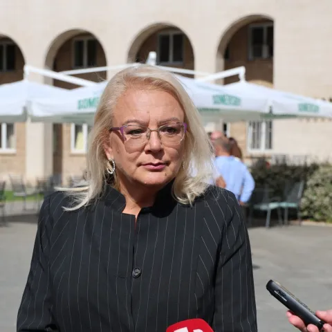 MOSTAR, 22. kolovoza (FENA) - Polaganjem vijenaca i odavanjem počasti svim hrvatskim braniteljima kod spomenika ispred Hrvatskog doma hercega Stjepana Kosače u Mostaru je u četvrtak obilježena 32. obljetnica osnivanja Hrvatske Republike Herceg-Bosne.(Foto FENA/Branka Soldo)