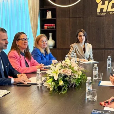 Čović s veleposlanicima &Scaron;vedske, Norve&scaron;ke i Danske o europskom putu BiH