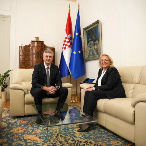 Bradara i Plenković