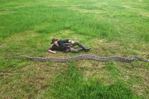 Najduža zmija na svijetu