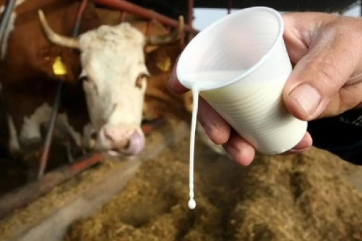 Poljoprivrednici u FBiH traže zabranu uvoza mlijeka