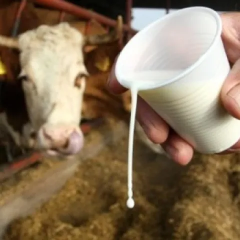 Poljoprivrednici u FBiH traže zabranu uvoza mlijeka