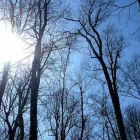 Očekuje nas vikend s manje oborina i toplije vrijeme