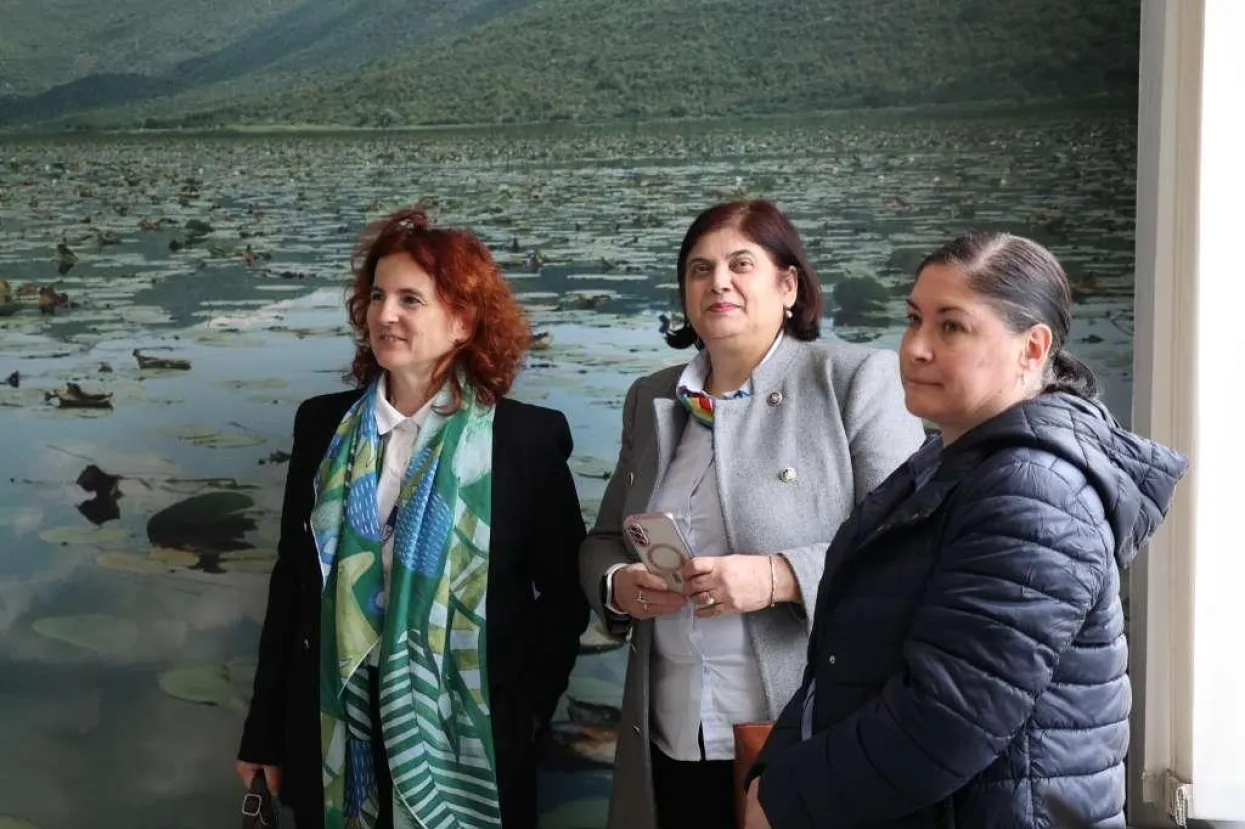 Udruga Dinarica stekla status Aarhus centra u Mostaru