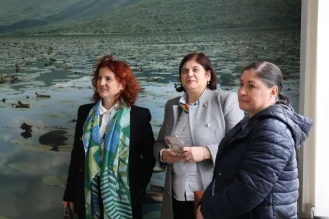 Udruga Dinarica stekla status Aarhus centra u Mostaru