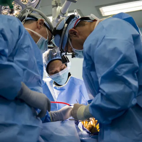 Studijska posjeta stručnjaka iz oblasti transplantacije BiH