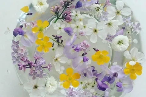 Danas je blagdan Cvjetnice i početak Velikog tjedna