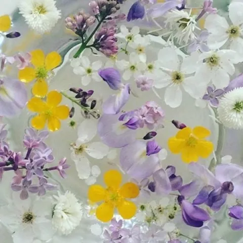 Danas je blagdan Cvjetnice i početak Velikog tjedna