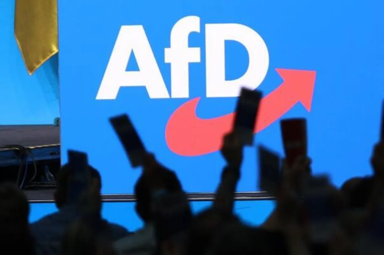 AfD-u raste povjerenje