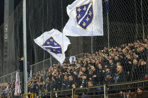 Zastava s ljiljanima