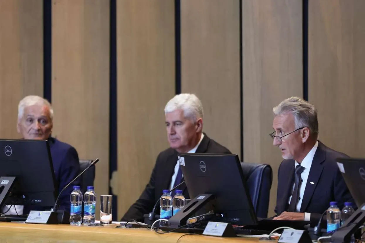 Vodstvo Doma naroda PS BiH