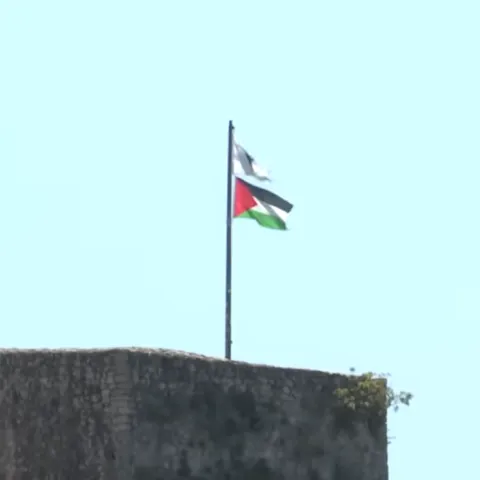 Zastava s ljiljanima i palestinska zastava na kuli Herceg Stjepana Kosače