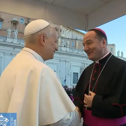 Papa Lav XIV. i biskup Petar Palić