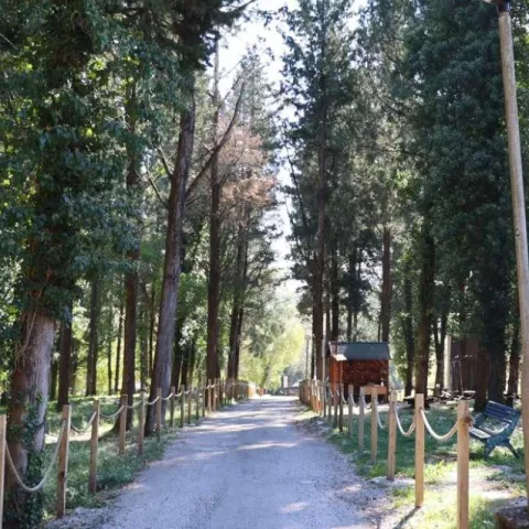 Hutovo blato