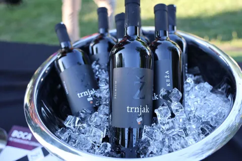 LJUBU&Scaron;KI, 28. lipnja (FENA) &ndash; U organizaciji Udruge vinogradara i vinara Ljubu&scaron;ki u ovom hercegovačkom gradu je u subotu održana finalna večer trodnevnog programa Trnjak Fest, trećeg izdanja i jedinstvene manifestacije posvećene Trnjku, za&scaron;tićenoj izvornoj crvenoj sorti vinove loze Hercegovine i Dalmatinske zagore.(Foto FENA/Branka Soldo)