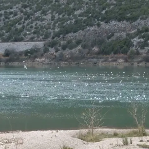 Mostarsko jezero