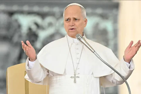 Papa Lav XIV