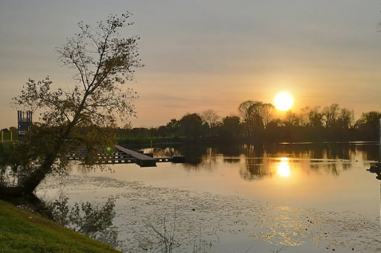 Jezero Jarun