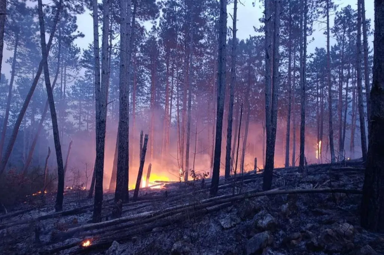 Lokaliziran požar kod Ljubu&scaron;kog