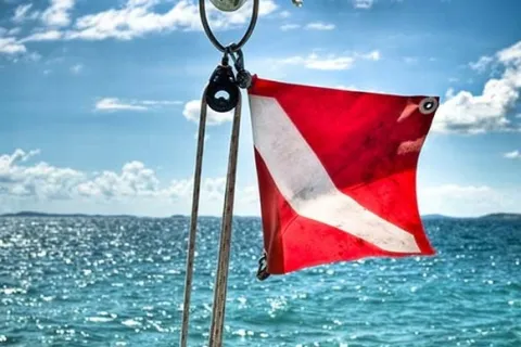 Oboren novi rekord temperature oceana. Znanstvenici: Ulazimo u neistražen teritorij