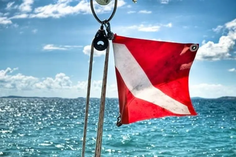 Oboren novi rekord temperature oceana. Znanstvenici: Ulazimo u neistražen teritorij