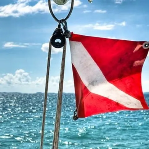Oboren novi rekord temperature oceana. Znanstvenici: Ulazimo u neistražen teritorij