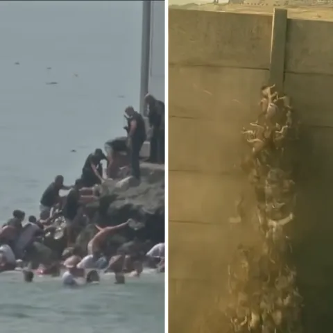 Migranti i Zombiji