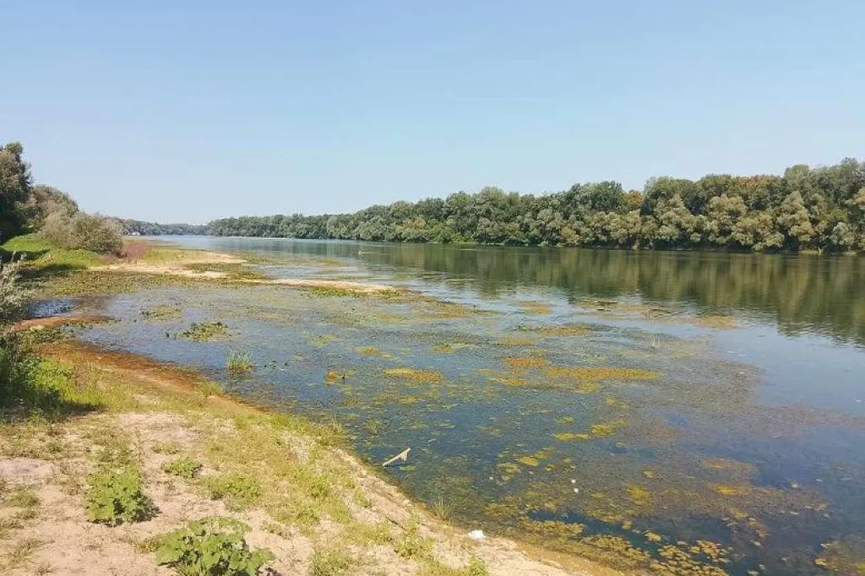 Brčko - Iznimno nizak vodostaj Save otežava plovidbu
