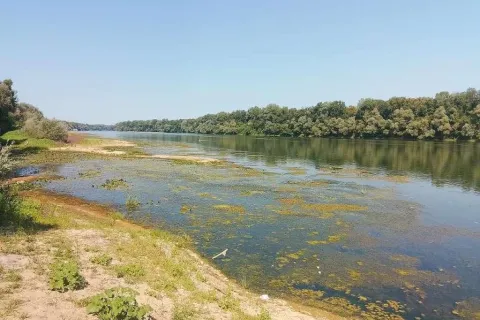 Brčko - Iznimno nizak vodostaj Save otežava plovidbu