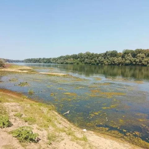 Brčko - Iznimno nizak vodostaj Save otežava plovidbu