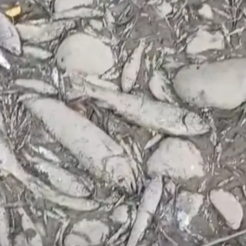 Rijeka Turjanica presu&scaron;ila
