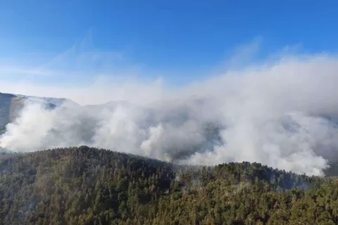 Požar na Risovcu