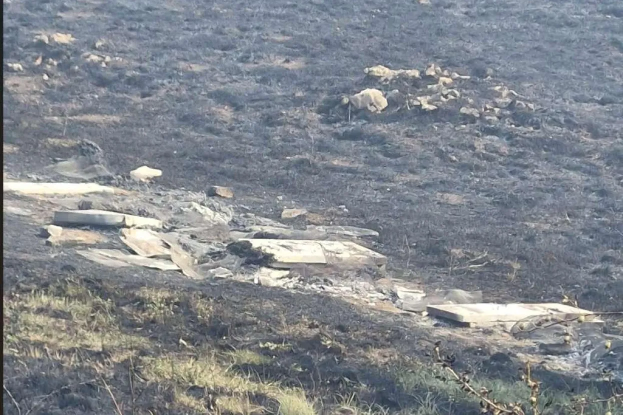 Deseci ko&scaron;nica stradali u požaru na Ljubu&scaron;i kod Tomislavgrada