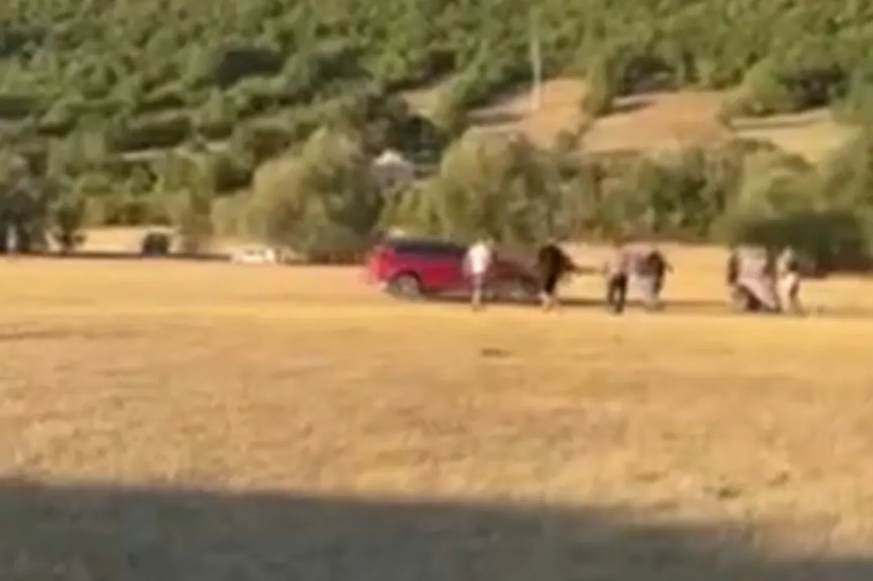 Zalijetao se automobilom u ljude