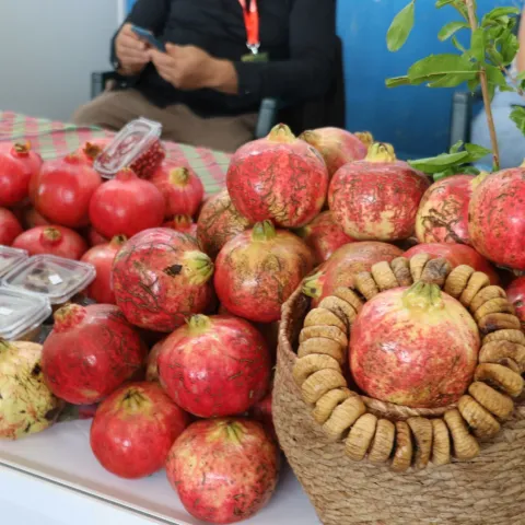 MOSTAR, 11. listopada (FENA) - Otvaranje 16. sajma "Hercegovački plodovi Mediterana" (Foto FENA/Branka Soldo)