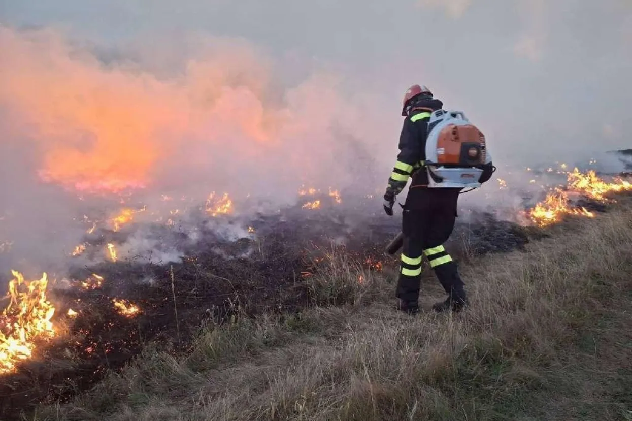 Veliki požar u Tihaljini kod Gruda, izgorjeli stubovi za struju, ugrožena kuća