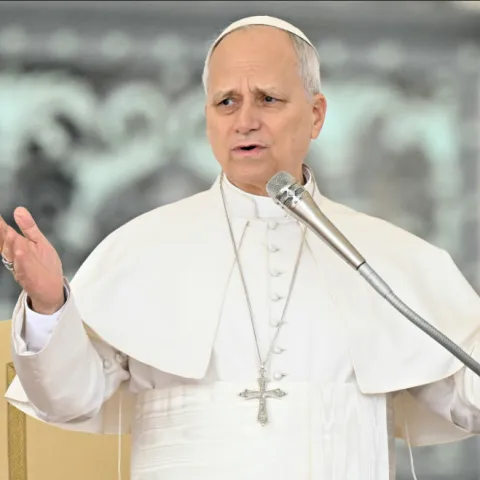 Papa Lav XIV
