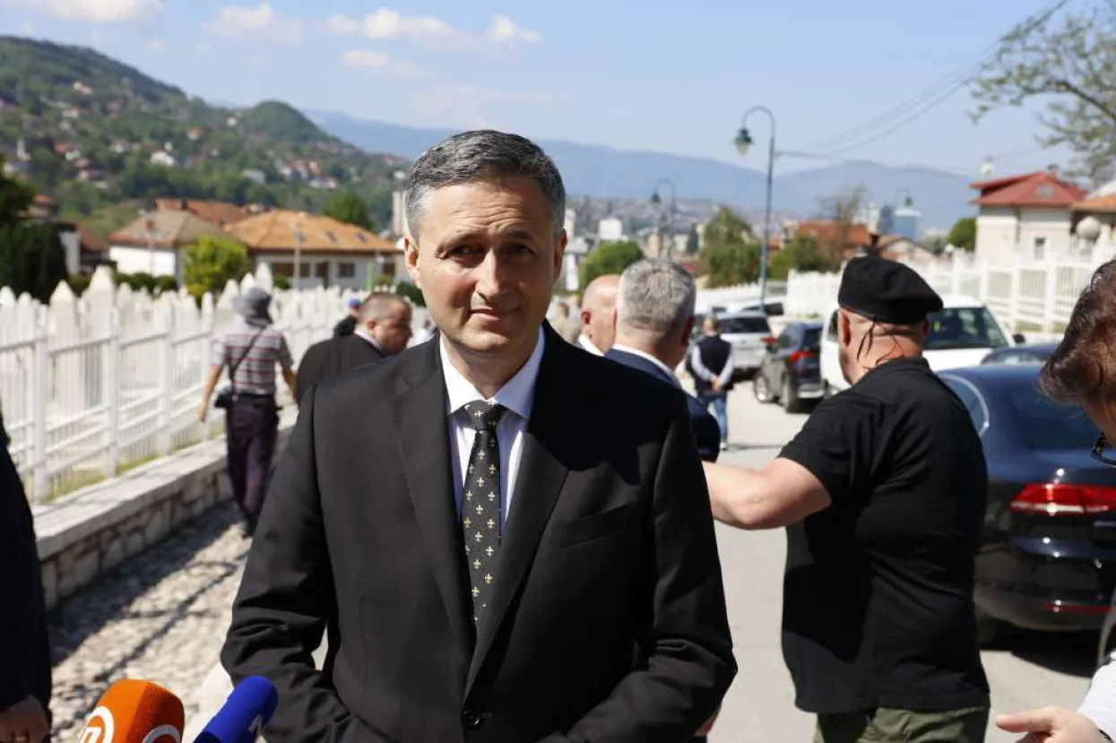 Denis Bećirović