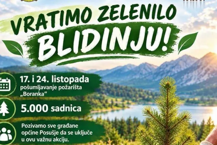 Na Blidinju će biti posađeno pet tisuća sadnica
