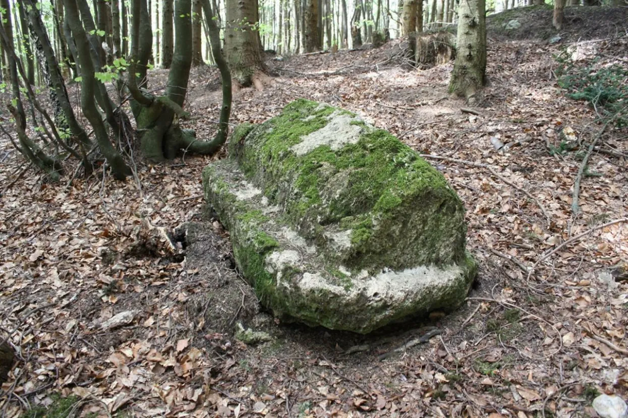 Započela arheolo&scaron;ka iskapanja na Starom gradu u Kre&scaron;evu